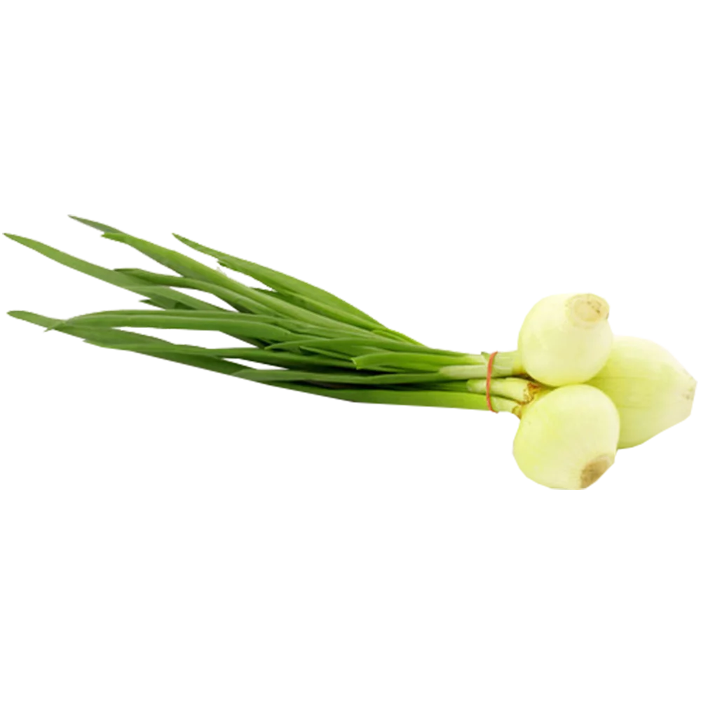 Szczypior cebulowy szt.