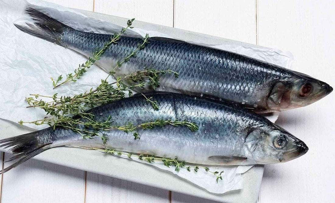 Dzikość zamknięta w smaku – dlaczego warto sięgać po bałtyckie ryby?