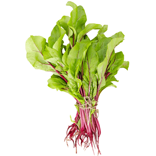 Botwinka pęczek szt.