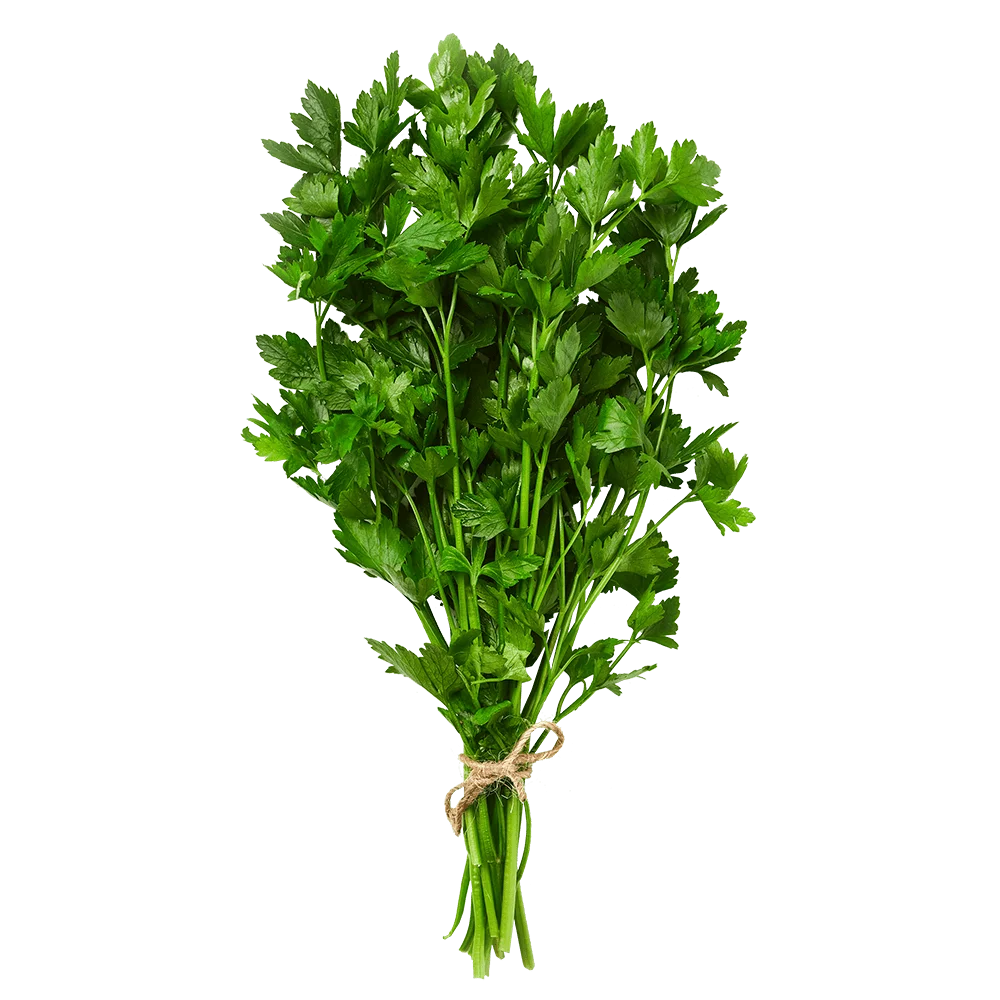 Pietruszka natka pęczek szt