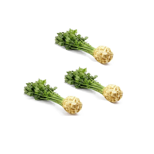 Seler młody z nacią szt.